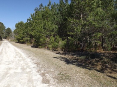 Lots 19, 20 and 21 along Comstock Lane at the corner of White on Players Course At Wyboo Plantation in South Carolina - for sale on GolfHomes.com, golf home, golf lot