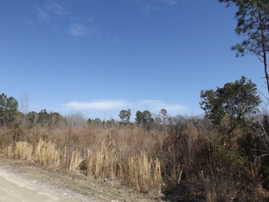 Lots 19, 20 and 21 along Comstock Lane at the corner of White on Players Course At Wyboo Plantation in South Carolina - for sale on GolfHomes.com, golf home, golf lot