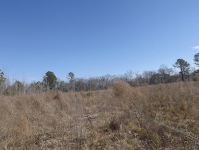 Lots 19, 20 and 21 along Comstock Lane at the corner of White on Players Course At Wyboo Plantation in South Carolina - for sale on GolfHomes.com, golf home, golf lot