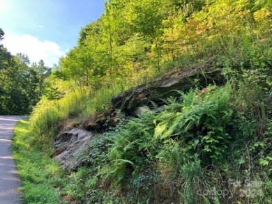 You don't have to go to West Virginia for a piece of heaven when on Rumbling Bald Resort on Lake Lure in North Carolina - for sale on GolfHomes.com, golf home, golf lot