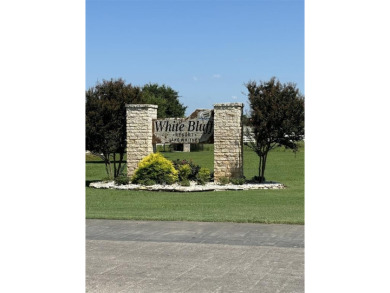 Seize the opportunity to own nearly half an acre on a corner lot on White Bluff Resort - New Course in Texas - for sale on GolfHomes.com, golf home, golf lot