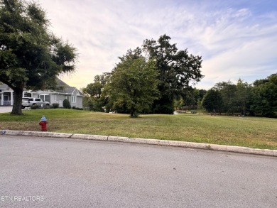 Want to be on the water with a dock right in your back yard but on Rarity Bay Country Club - Loudon in Tennessee - for sale on GolfHomes.com, golf home, golf lot