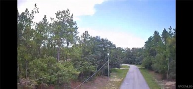 Build your dream home on this beautiful one-acre lot in Beverly on Pine Ridge Community Golf and Country Club in Florida - for sale on GolfHomes.com, golf home, golf lot