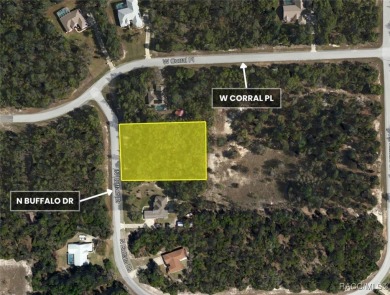 Build your dream home on this beautiful one-acre lot in Beverly on Pine Ridge Community Golf and Country Club in Florida - for sale on GolfHomes.com, golf home, golf lot