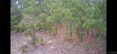 Build your dream home on this beautiful one-acre lot in Beverly on Pine Ridge Community Golf and Country Club in Florida - for sale on GolfHomes.com, golf home, golf lot