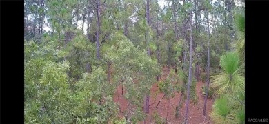 Build your dream home on this beautiful one-acre lot in Beverly on Pine Ridge Community Golf and Country Club in Florida - for sale on GolfHomes.com, golf home, golf lot