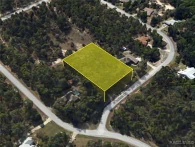 Build your dream home on this beautiful one-acre lot in Beverly on Pine Ridge Community Golf and Country Club in Florida - for sale on GolfHomes.com, golf home, golf lot