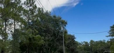 Build your dream home on this beautiful one-acre lot in Beverly on Pine Ridge Community Golf and Country Club in Florida - for sale on GolfHomes.com, golf home, golf lot
