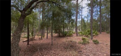 Build your dream home on this beautiful one-acre lot in Beverly on Pine Ridge Community Golf and Country Club in Florida - for sale on GolfHomes.com, golf home, golf lot