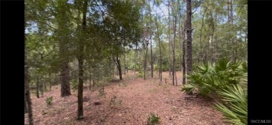 Build your dream home on this beautiful one-acre lot in Beverly on Pine Ridge Community Golf and Country Club in Florida - for sale on GolfHomes.com, golf home, golf lot