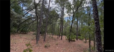 Build your dream home on this beautiful one-acre lot in Beverly on Pine Ridge Community Golf and Country Club in Florida - for sale on GolfHomes.com, golf home, golf lot