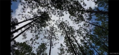 Build your dream home on this beautiful one-acre lot in Beverly on Pine Ridge Community Golf and Country Club in Florida - for sale on GolfHomes.com, golf home, golf lot