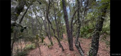 Build your dream home on this beautiful one-acre lot in Beverly on Pine Ridge Community Golf and Country Club in Florida - for sale on GolfHomes.com, golf home, golf lot