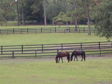 Build your dream home on this beautiful one-acre lot in Beverly on Pine Ridge Community Golf and Country Club in Florida - for sale on GolfHomes.com, golf home, golf lot
