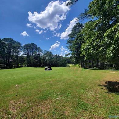 These beautiful adjacent lots are ready for your dream home! on Cherokee Ridge Country Club in Alabama - for sale on GolfHomes.com, golf home, golf lot