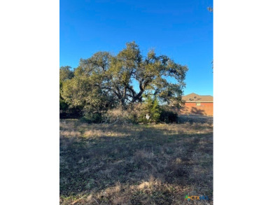 Beautiful lot with mature trees and easy access to the golf on Vaaler Creek Golf Club in Texas - for sale on GolfHomes.com, golf home, golf lot