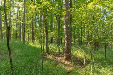 Build your dream home at Reynolds Lake Oconee! This peaceful and on Reynolds Lake Oconee - The Oconee in Georgia - for sale on GolfHomes.com, golf home, golf lot