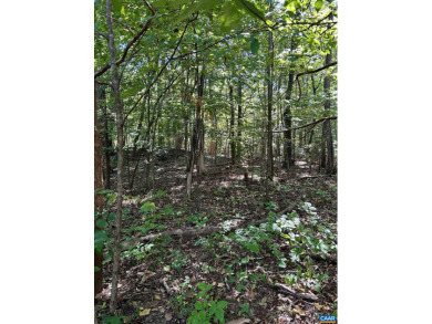 Perfect Location, walk to the golf couse and restuarant of on Wintergreen Golf Course and Resort in Virginia - for sale on GolfHomes.com, golf home, golf lot