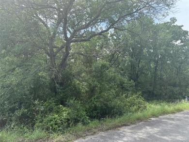 Discover the perfect opportunity to build your dream home or on The Club At Runaway Bay in Texas - for sale on GolfHomes.com, golf home, golf lot