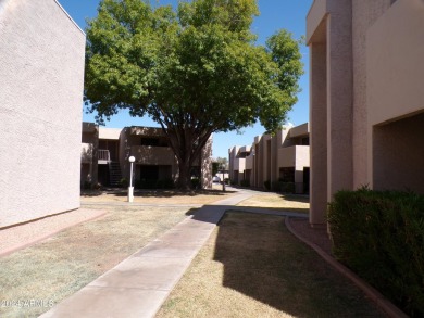 Steps away from the Dobson Ranch Golf course, this stunning two on Dobson Ranch Municipal Golf Course in Arizona - for sale on GolfHomes.com, golf home, golf lot