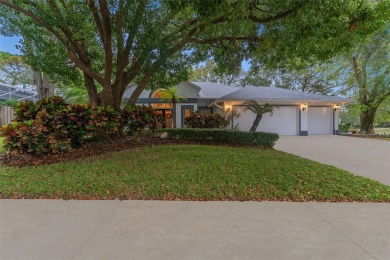 High and Dry through both recent storms. Welcome to your dream on Innisbrook Resort and Golf Club in Florida - for sale on GolfHomes.com, golf home, golf lot