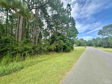 Location! Location! - Last Lot available on Brinkley St.-Come be on The Club At Hidden Creek in Florida - for sale on GolfHomes.com, golf home, golf lot