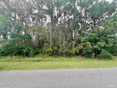 Location! Location! - Last Lot available on Brinkley St.-Come be on The Club At Hidden Creek in Florida - for sale on GolfHomes.com, golf home, golf lot
