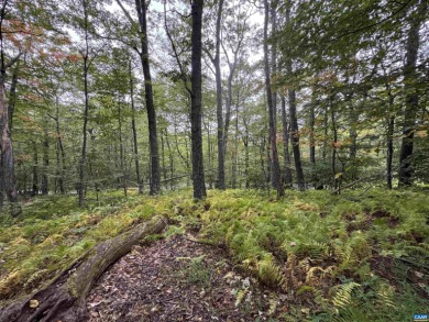 Build your dream getaway on this golf front lot at the 6th tee on Devils Knob in Virginia - for sale on GolfHomes.com, golf home, golf lot
