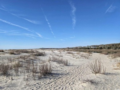 Welcome to Lot 33-B South Causeway Road, just minutes from the on Pawleys Plantation Golf and Country Club in South Carolina - for sale on GolfHomes.com, golf home, golf lot