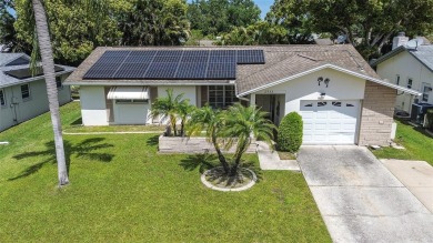 Nestled in the heart of Palm Harbor's sought-after Highland on Highland Lakes Executive Golf Course in Florida - for sale on GolfHomes.com, golf home, golf lot