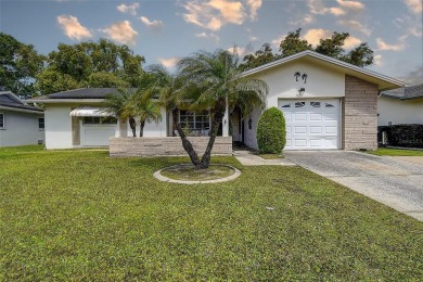 Nestled in the heart of Palm Harbor's sought-after Highland on Highland Lakes Executive Golf Course in Florida - for sale on GolfHomes.com, golf home, golf lot