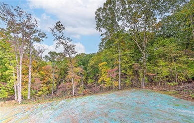 Discover elevated living in this meticulously maintained on Bella Vista - Metfield Golf Complex and Country Club in Arkansas - for sale on GolfHomes.com, golf home, golf lot