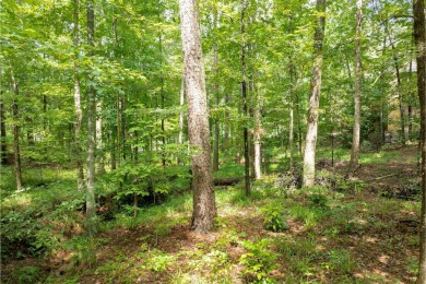 This .92-acre golf lot is nestled within the gates of Reynolds on Reynolds Lake Oconee - The Oconee in Georgia - for sale on GolfHomes.com, golf home, golf lot