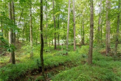 This .92-acre golf lot is nestled within the gates of Reynolds on Reynolds Lake Oconee - The Oconee in Georgia - for sale on GolfHomes.com, golf home, golf lot