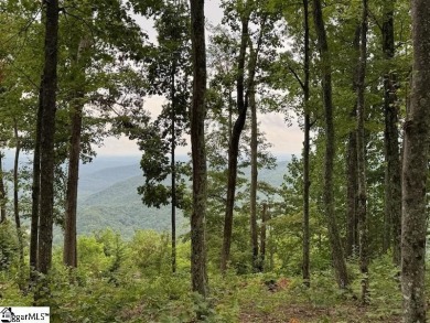 Nestled in the mountains just minutes from Greenville, SC, make on The Cliffs Valley Golf Course in South Carolina - for sale on GolfHomes.com, golf home, golf lot