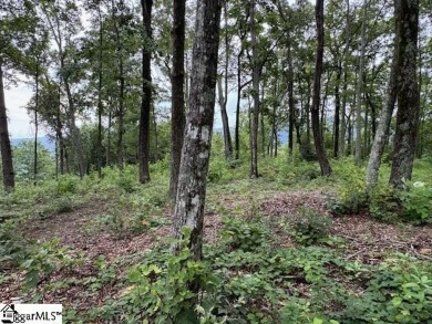 Nestled in the mountains just minutes from Greenville, SC, make on The Cliffs Valley Golf Course in South Carolina - for sale on GolfHomes.com, golf home, golf lot