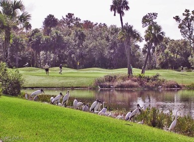 FEATURING BOTH A GOLF COURSE AND WATER VIEWS.  This home has on Verandah Golf Course and Club in Florida - for sale on GolfHomes.com, golf home, golf lot