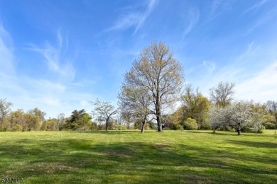 Magnificent 8.7 Acre Building Lot with Storied Carriage House on New Jersey National Golf Club in New Jersey - for sale on GolfHomes.com, golf home, golf lot