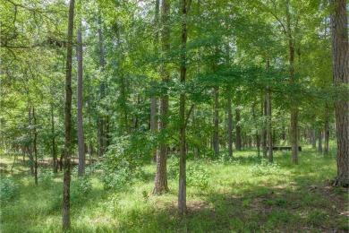 Lakefront lot in Richland Pointe subdivision! This is a very on Reynolds Lake Oconee - The Oconee in Georgia - for sale on GolfHomes.com, golf home, golf lot
