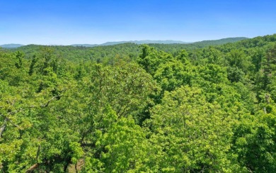 One of the last large estate sized lots available-with adjoining on Old Toccoa Farm Golf Club in Georgia - for sale on GolfHomes.com, golf home, golf lot
