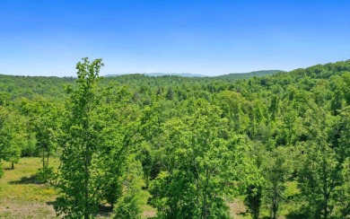 One of the last large estate sized lots available-with adjoining on Old Toccoa Farm Golf Club in Georgia - for sale on GolfHomes.com, golf home, golf lot