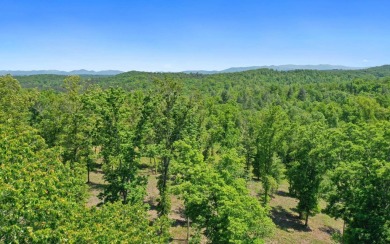 One of the last large estate sized lots available-with adjoining on Old Toccoa Farm Golf Club in Georgia - for sale on GolfHomes.com, golf home, golf lot