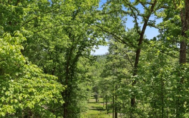 One of the last large estate sized lots available-with adjoining on Old Toccoa Farm Golf Club in Georgia - for sale on GolfHomes.com, golf home, golf lot