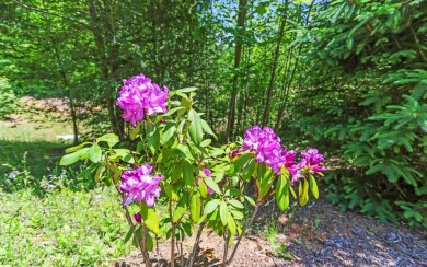 One of the last large estate sized lots available-with adjoining on Old Toccoa Farm Golf Club in Georgia - for sale on GolfHomes.com, golf home, golf lot