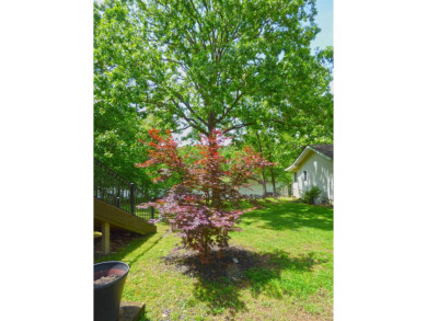 Built for comfort and ease of living, this home on Lake Navajo on Cherokee Village North Course in Arkansas - for sale on GolfHomes.com, golf home, golf lot