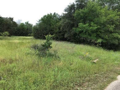 Lot is located across the road from Kenner Lake I - North Lake on White Bluff Resort - Old Course in Texas - for sale on GolfHomes.com, golf home, golf lot