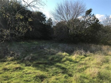 Lot is located across the road from Kenner Lake I - North Lake on White Bluff Resort - Old Course in Texas - for sale on GolfHomes.com, golf home, golf lot