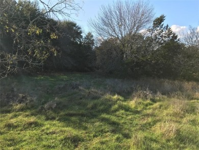 Lot is located across the road from Kenner Lake I - North Lake on White Bluff Resort - Old Course in Texas - for sale on GolfHomes.com, golf home, golf lot