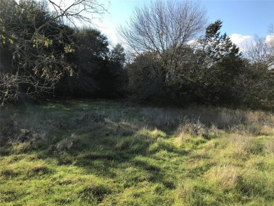 Lot is located across the road from Kenner Lake I - North Lake on White Bluff Resort - Old Course in Texas - for sale on GolfHomes.com, golf home, golf lot