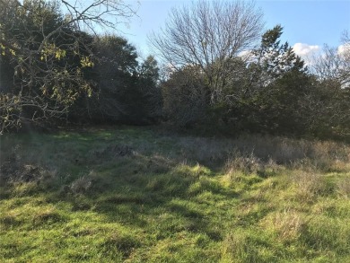 Lot is located across the road from Kenner Lake I - North Lake on White Bluff Resort - Old Course in Texas - for sale on GolfHomes.com, golf home, golf lot